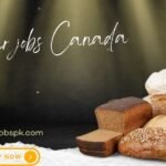 Chocolate Packer Jobs in Dubai – UAE