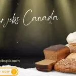 Chocolate Packer Jobs in Dubai – UAE